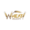 Wheat Velocity